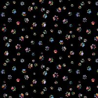 ttCAT-CD4967 BLACK